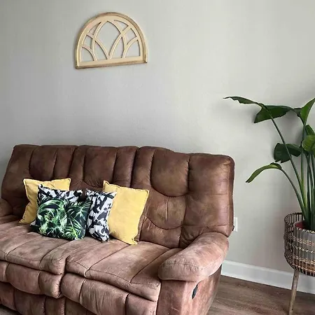 Blooming Journey In Tampa Bay! Apartment Exterior photo