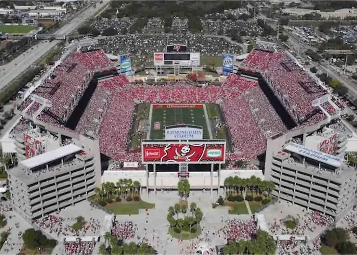 Blooming Journey In Tampa Bay!